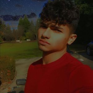 Meet your Posher, Leo